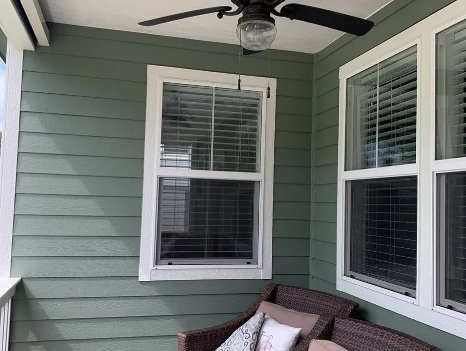 Sherwin Williams Dried Thyme house exterior color