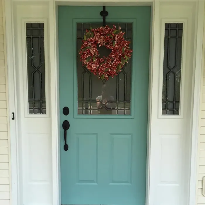 SW Drizzle front door color review