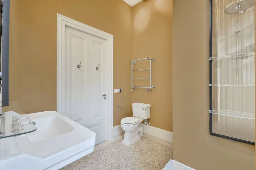 Sherwin Williams Dromedary Camel bathroom