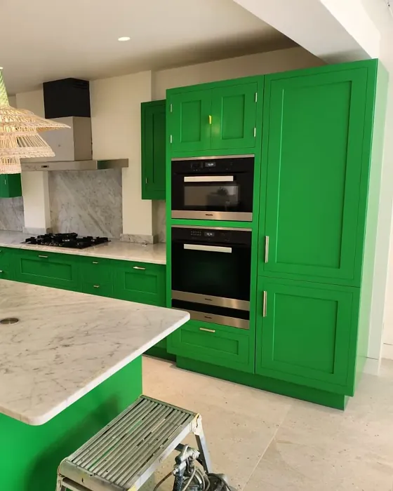 Dulux Lush Grass kitchen cabinets color review