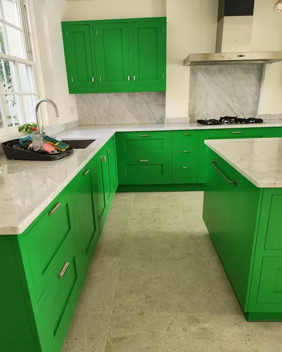 Dulux Lush Grass kitchen cabinets 