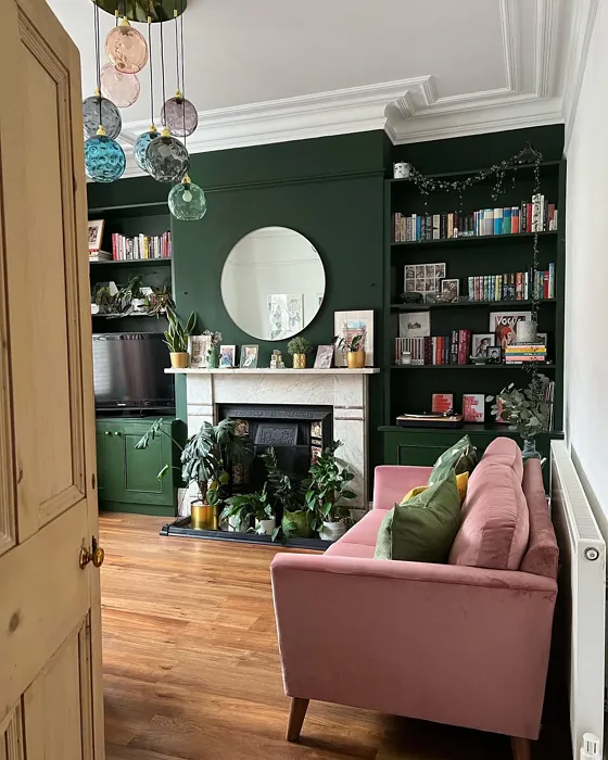 Farrow and Ball Duck Green living room color
