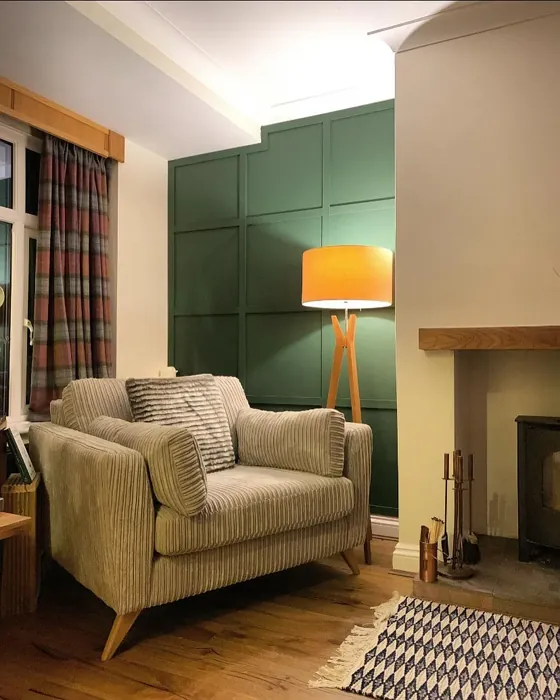 Farrow and Ball Duck Green living room fireplace color review