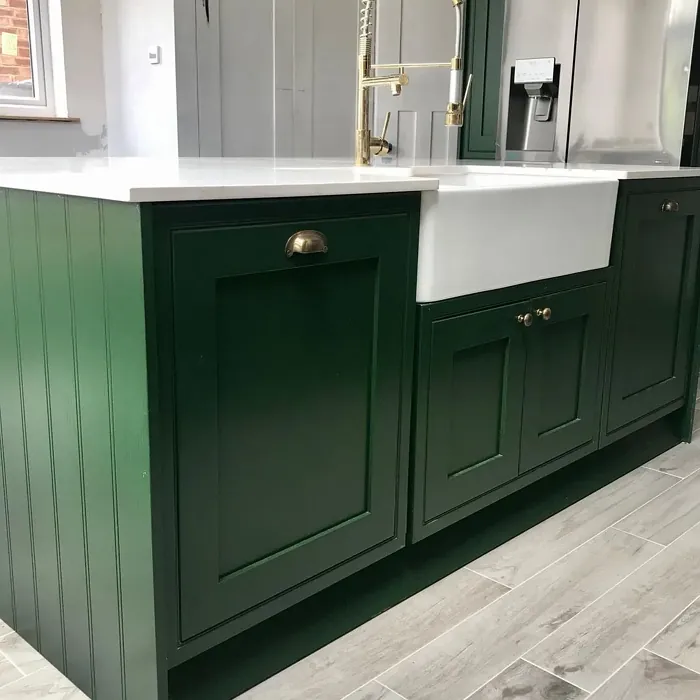 Duck Green kitchen cabinets review