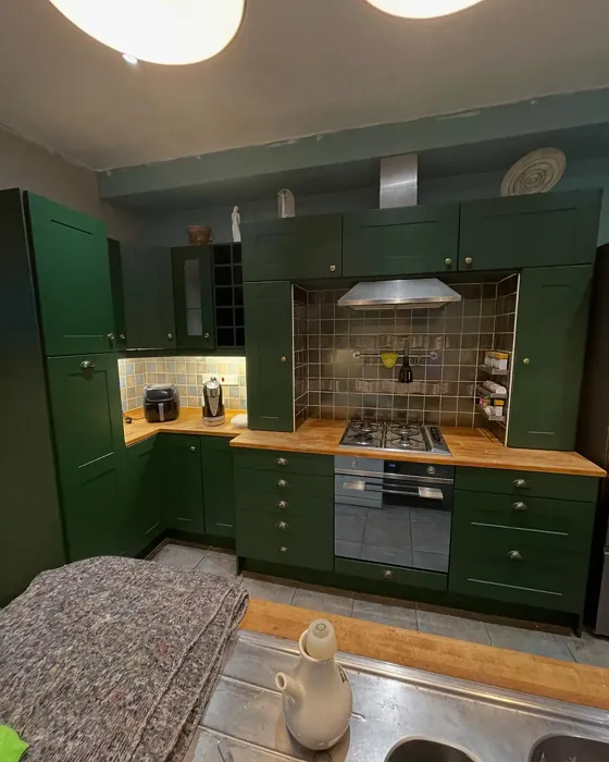 Duck Green kitchen cabinets color review