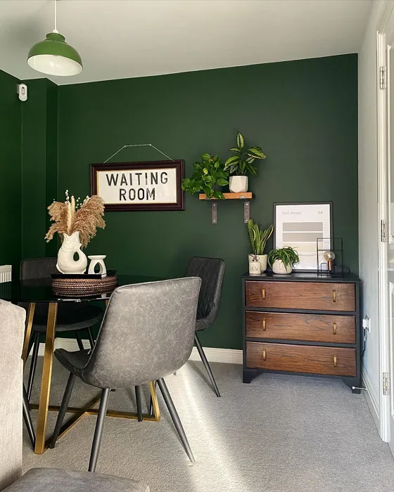 Farrow and Ball Duck Green dining room color
