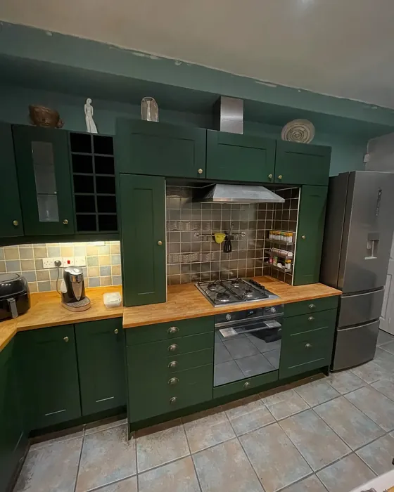 Duck Green kitchen cabinets 
