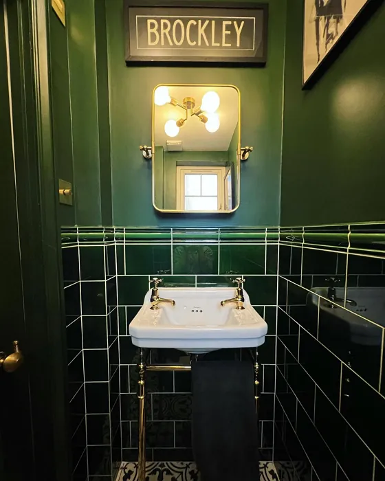 Farrow and Ball Duck Green bathroom color review