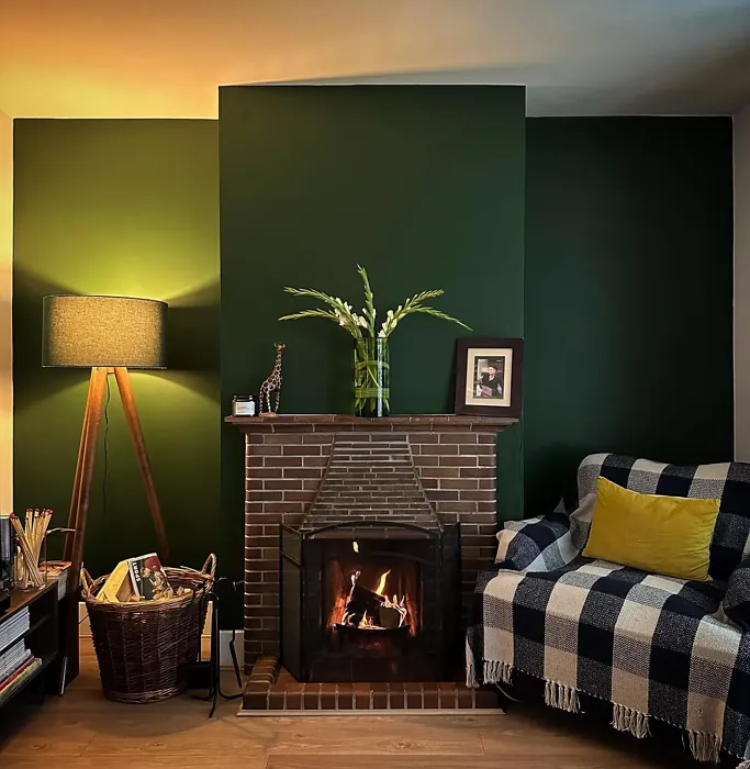 Farrow and Ball Duck Green living room color review