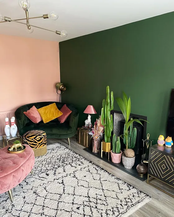 Farrow and Ball Duck Green living room accent wall