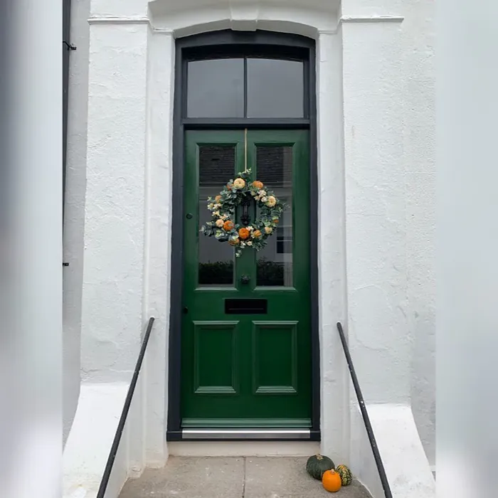 Farrow and Ball Duck Green front door paint review
