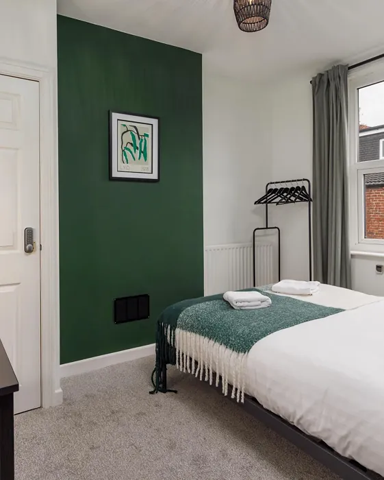 Farrow and Ball Duck Green bedroom paint review