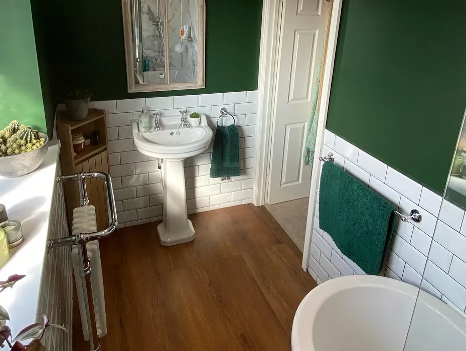 Farrow and Ball Duck Green bathroom paint review