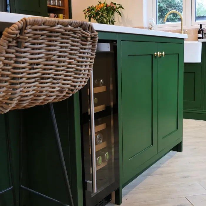 Farrow and Ball Duck Green kitchen cabinets color