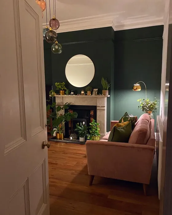 Farrow and Ball Duck Green living room review