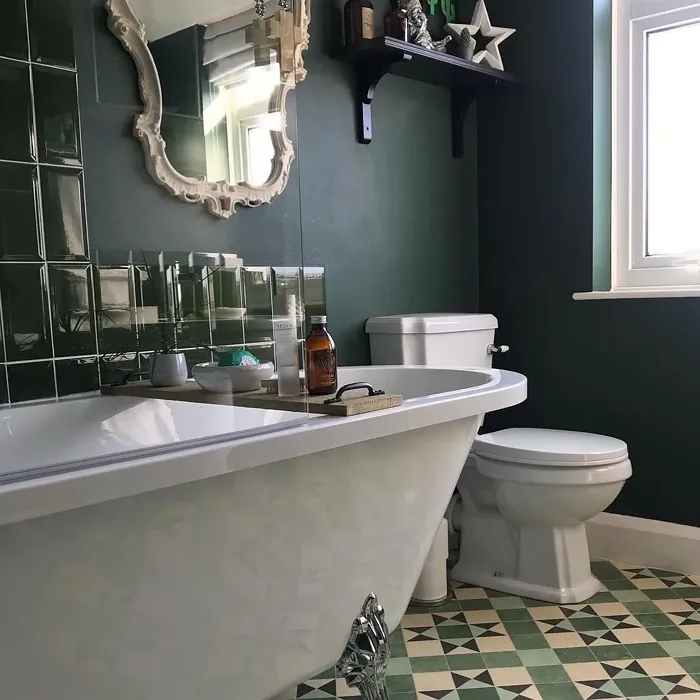 Duck Green bathroom paint review