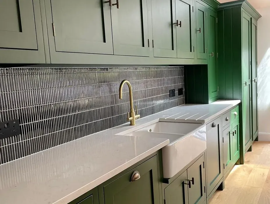 Duck Green kitchen cabinets paint
