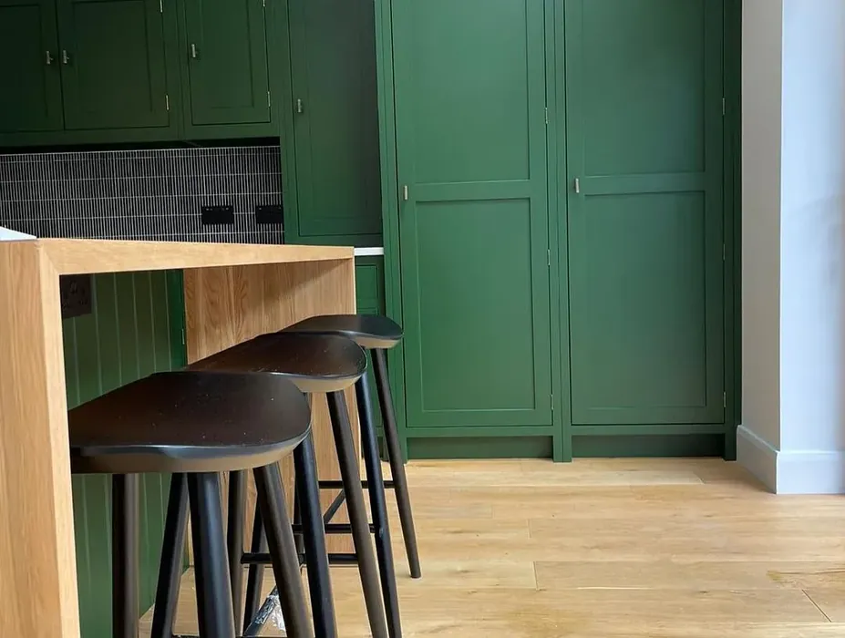 Duck Green kitchen cabinets review