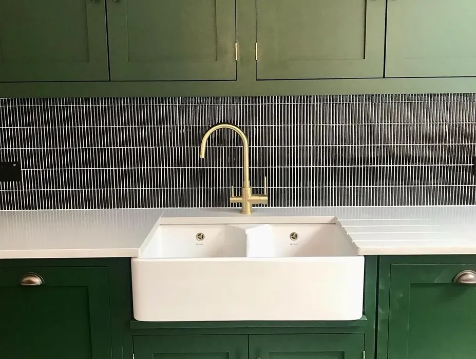 Duck Green kitchen cabinets picture