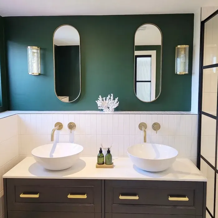 Duck Green bathroom color