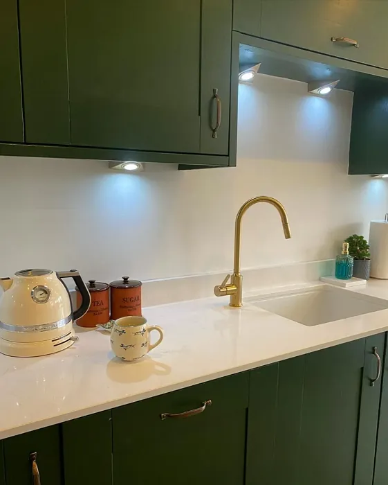 Duck Green kitchen cabinets color