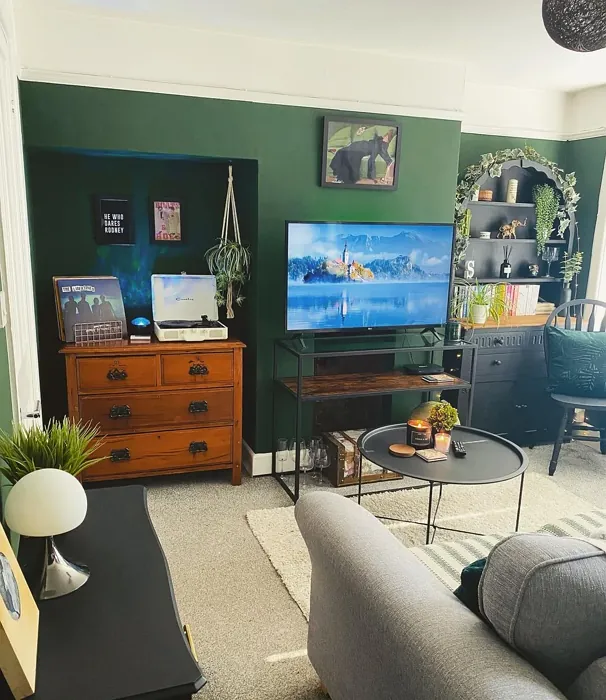 Duck Green living room color