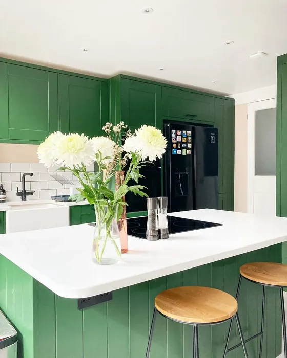 Duck Green kitchen cabinets color review