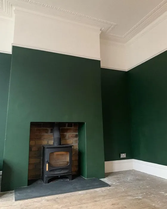 Duck Green living room fireplace color