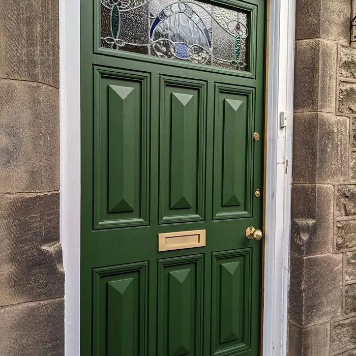 Duck Green front door paint review