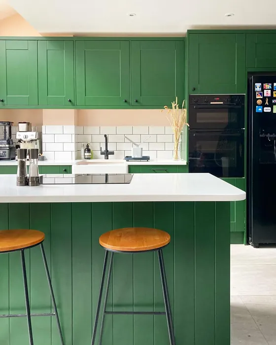 Farrow and Ball Duck Green kitchen cabinets paint