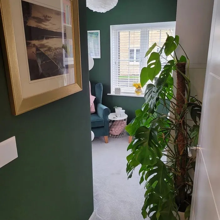 Duck Green bedroom color review