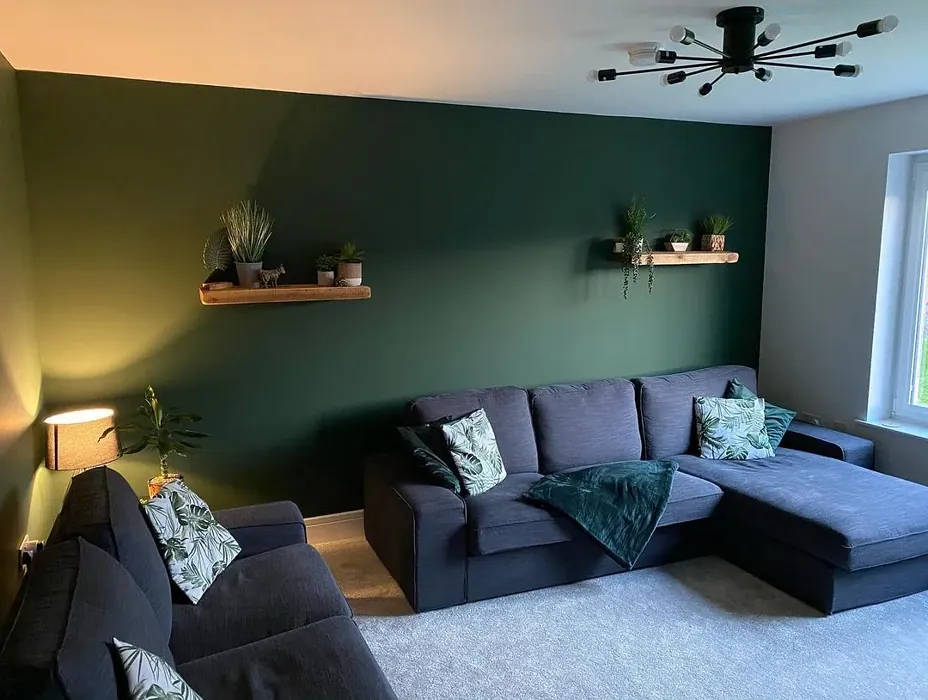 Duck Green living room paint