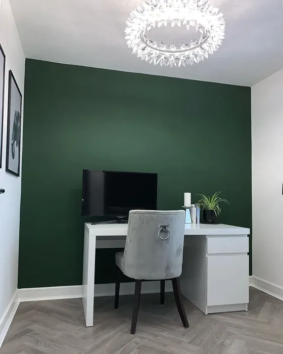 Farrow and Ball W55 home office paint