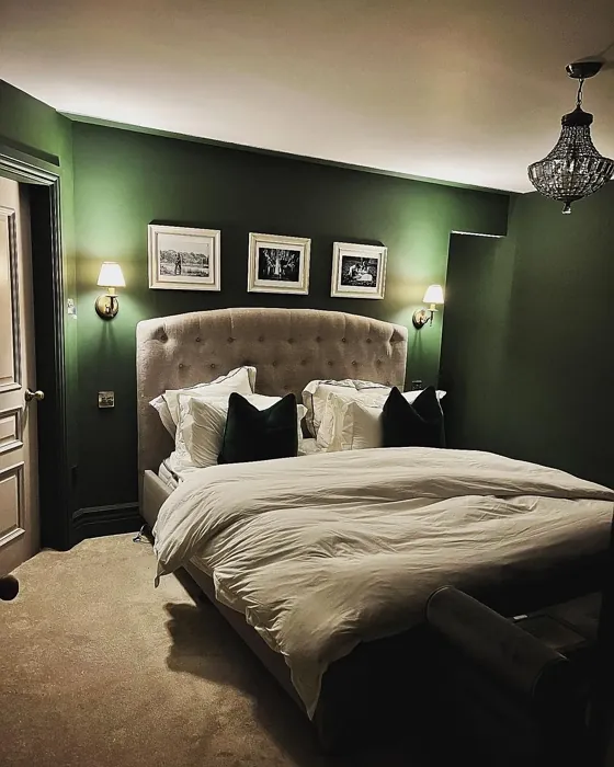 Farrow and Ball Duck Green bedroom color review