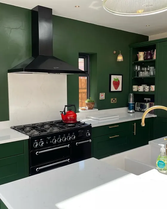 Duck Green kitchen cabinets color