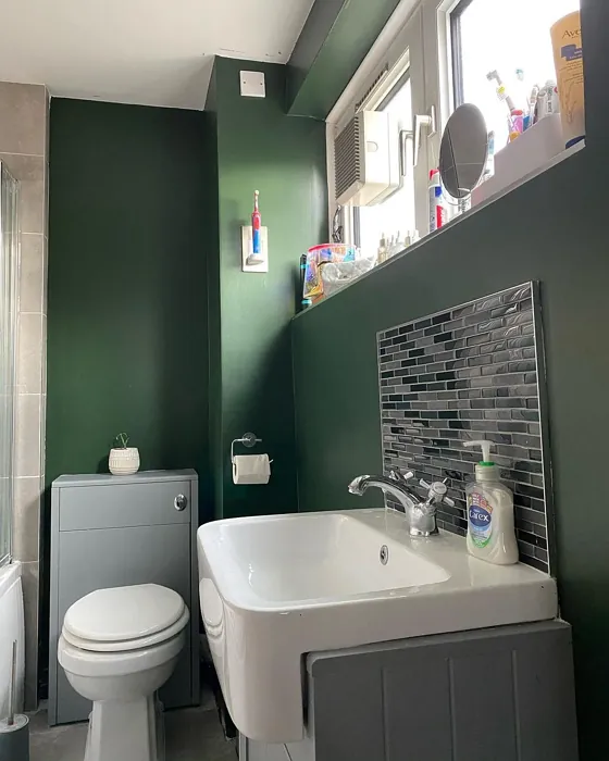 Farrow and Ball W55 bathroom paint review