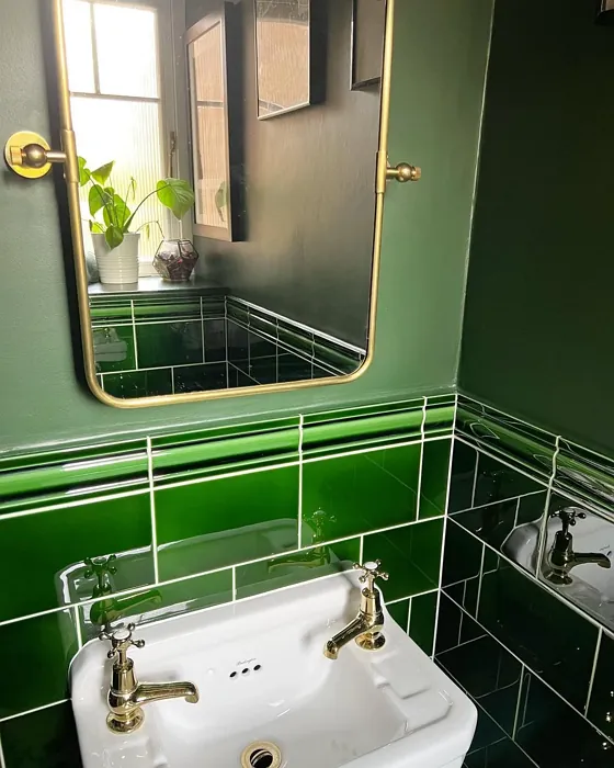 Duck Green bathroom picture