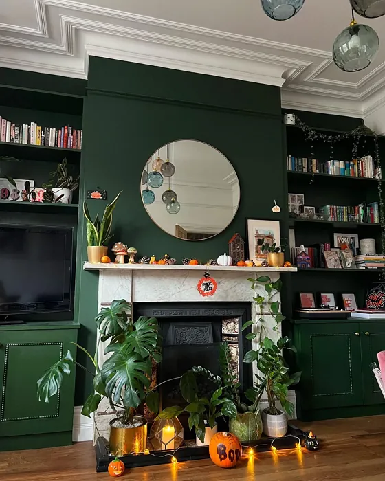 Farrow and Ball Duck Green living room fireplace interior