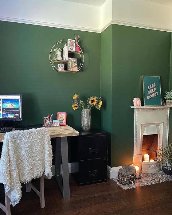 Duck Green cozy living room fireplace paint