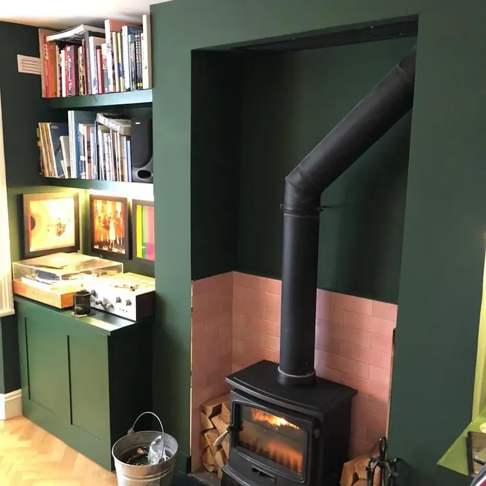 Farrow and Ball Duck Green living room fireplace photo