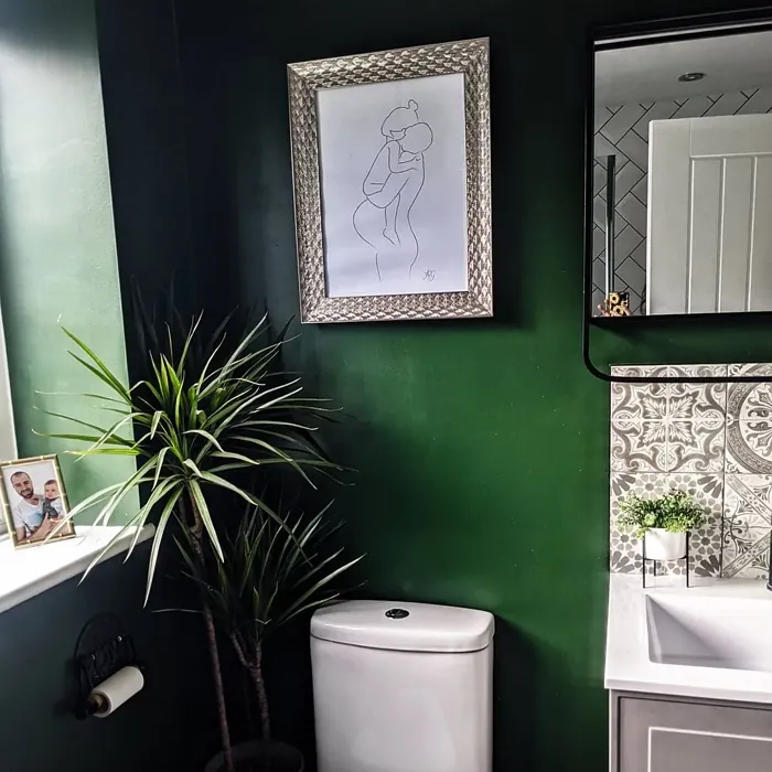 Farrow and Ball Duck Green bathroom color
