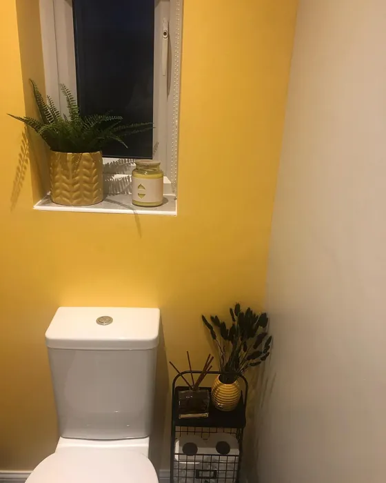 Banana Split bathroom paint