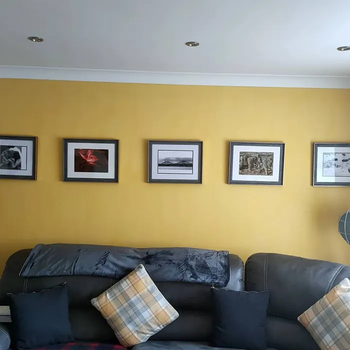 Banana Split living room color
