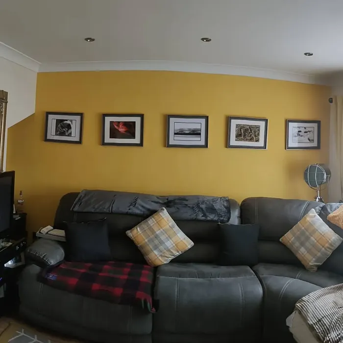 Banana Split living room color review