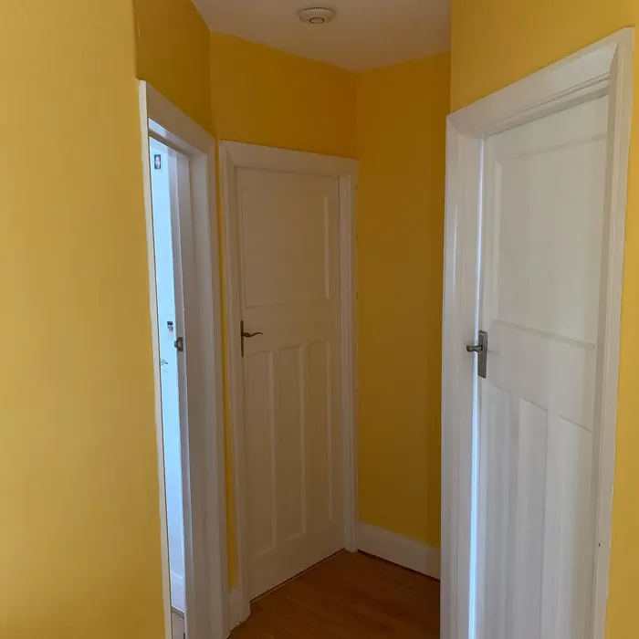 Dulux Banana Split hallway inspiration