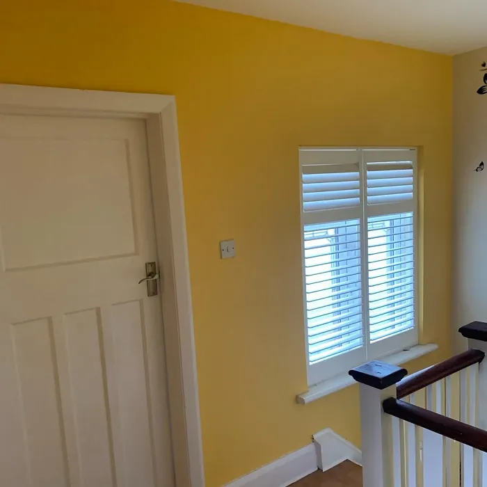 Dulux Banana Split hallway color paint