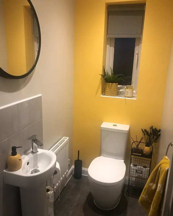 Dulux Banana Split bathroom color