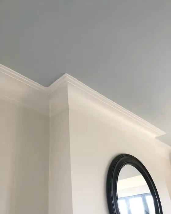 Dulux Clear Skies ceiling color