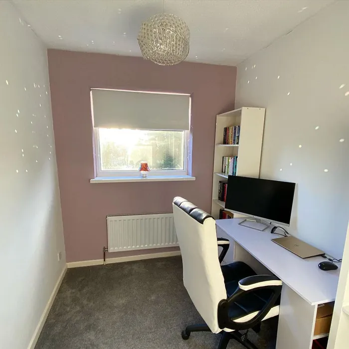 Dulux Dusted Fondant 30RR 49/067 home office