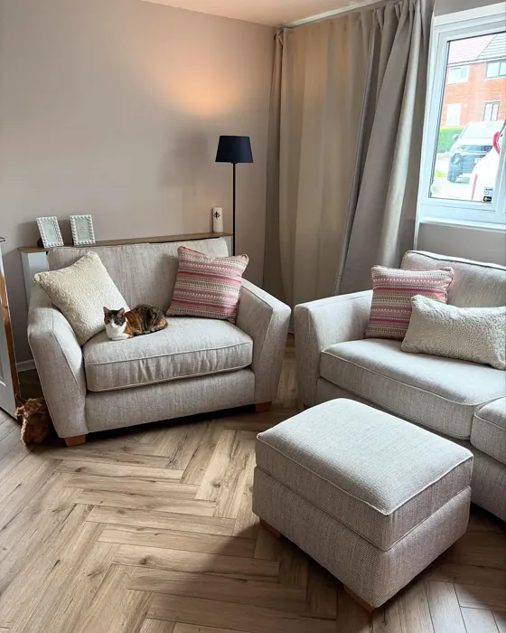 Dulux Gentle Fawn living room inspiration